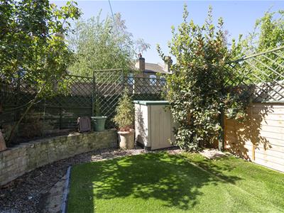 Picture 11